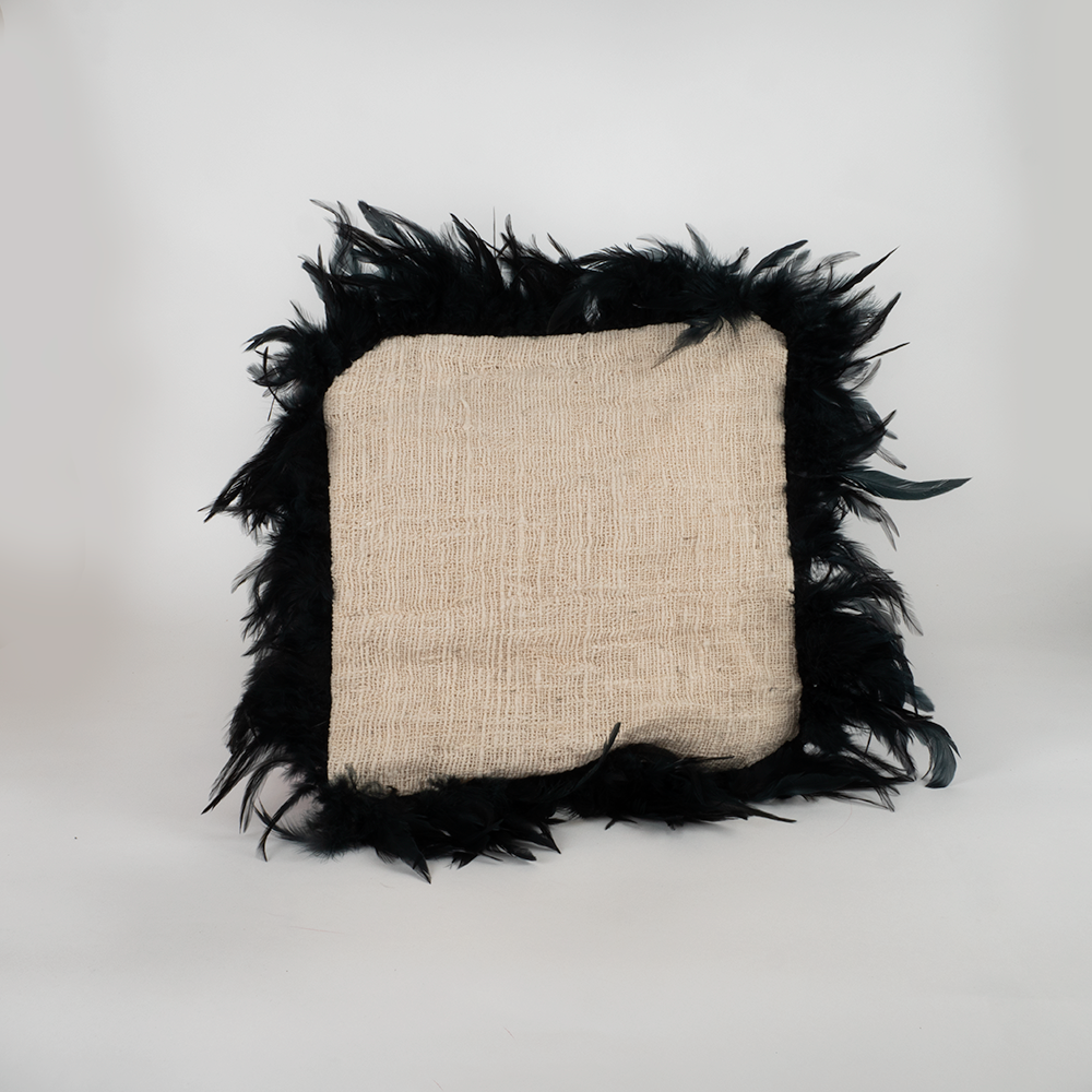 Housse de coussin écru et plumes noires
